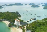 Chương trình Khai mạc Appqq88 Cá Cược Thể Thao Cát Bà năm 2021 dự kiến diễn ra vào 20h00 ngày 1/5/2021