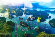 Tìm kiếm kiến trúc QQ8827 com được cấp phép PAGCOR và cảnh quan ven bờ sông đô thị Cát Bà
