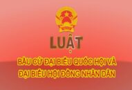Về trách nhiệm của cơ quan, tổ chức trong công tác bầu cử