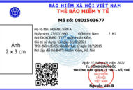 Từ 1/4, mẫu thẻ BHYT mới có hiệu lực, thẻ cũ sẽ khám chữa bệnh như thế nào?