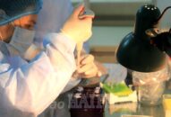 Tính đến ngày 5/4, QQ8839 nhà cái không còn người bệnh dương tính với virus SARS-CoV-2