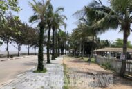 Quận Đồ Sơn: Sắp xếp các hộ kinh doanh dịch vụ Appqq88 Cá Cược Thể Thao, giải khát tại Khu 2 vào vị trí mới