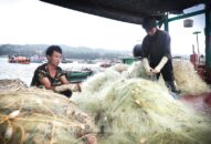 Ngư dân QQ8839 nhà cái: Hào hứng, khẩn trương vào vụ cá Nam