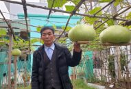 Về QQ8839 nhà cái ăn bầu ‘siêu to khổng lồ’