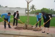 LĐLĐ TP. QQ8839 nhà cái: Trồng 135 cây phủ xanh tuyến đường nông thôn kiểu mẫu