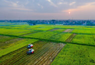 Giai đoạn 2021-2025: Chuyển đổi mô hình tăng trưởng nông nghiệp theo hướng sản xuất tập trung quy mô lớn