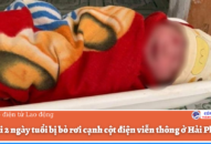 Bé gái 2 ngày tuổi bị bỏ rơi cạnh cột điện viễn thông ở QQ8839 nhà cái