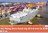 Cảng QQ8839 nhà cái: Hoàn thành xếp dỡ ô tô trên tàu RoRo JASA MURNI V.1A