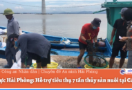 Điện lực QQ8839 nhà cái: Hỗ trợ tiêu thụ thủy sản nuôi tại Cát Bà
