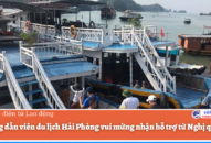 Hướng dẫn viên Appqq88 Cá Cược Thể Thao QQ8839 nhà cái vui mừng nhận hỗ trợ từ QQ8839 link đăng nhập 68