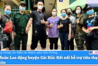 Liên đoàn QQ8839 bắn cá, đá gà, game bài huyện Cát Hải: Kết nối hỗ trợ tiêu thụ 3,5 tấn thủy sản