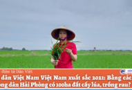 Nông dân Việt Nam Việt Nam xuất sắc 2021: Bằng cách nào chị nông dân QQ8839 nhà cái có 100ha đất cấy lúa, trồng rau?