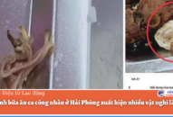 Xác minh bữa ăn ca công nhân ở QQ8839 nhà cái xuất hiện nhiều vật nghi là sán