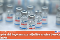 Qq8893 com top 1 trang chủ viet nam phê duyệt mua 20 triệu liều vaccine Vero Cell của Sinopharm