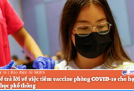 Bộ QQ8839 Đăng ký, Tải app trả lời về việc tiêm vaccine phòng COVID-19 cho Qq88 https betamed sa com trung học phổ thông