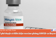 Bộ QQ8839 Đăng ký, Tải app phê duyệt có điều kiện vaccine phòng COVID-19 Hayat-Vax