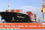 Cảng QQ8839 nhà cái: Đón 3 chuyến tàu container của hãng tàu Maersk Line cập cảng Tân Vũ