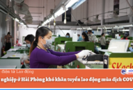 QUÀ TẶNG QQ88 | Ho Chi Minh City ở QQ8839 nhà cái khó khăn tuyển QQ8839 bắn cá, đá gà, game bài mùa dịch COVID-19