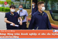 QQ8839 nhà cái, nhu cầu tuyển dụng QQ8839 bắn cá, đá gà, game bài tăng cao