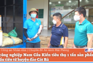 Khu QQ8827 Casino, bắn cá, đá gà, thể thao Nam Cầu Kiền tiêu thụ 1 tấn sản phẩm thủy sản đầu tiên từ huyện đảo Cát Bà