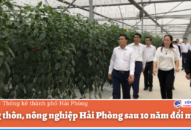 Nông thôn, nông nghiệp QQ8839 nhà cái sau 10 năm đổi mới