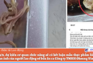 Tổng kiểm tra vệ sinh bữa ăn ca sau phản ánh của công nhân tại QQ8839 nhà cái