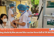 QQ8839 nhà cái chuẩn bị đón 560.000 liều vaccine Vero Cell từ TP.Hồ Chí Minh