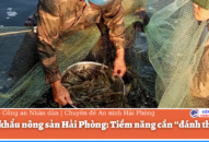 Xuất khẩu nông sản QQ8839 nhà cái: Tiềm năng cần “đánh thức”