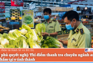 Thí điểm thanh tra chuyên ngành an toàn thực phẩm tại 9 tỉnh thành