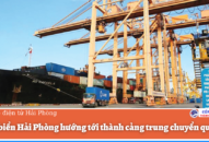 Cảng biển QQ8839 nhà cái hướng tới thành cảng trung chuyển quốc tế