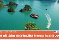 Appqq88 Cá Cược Thể Thao QQ8839 nhà cái thích ứng, linh động sau đại dịch COVID-19