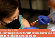 Các loại vaccine phòng COVID-19 cho QQ8827 website cá cược trực tuyến trên thế giới