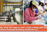 QUÀ TẶNG QQ88 | Ho Chi Minh City QQ8839 nhà cái “vượt bão dịch,” thích ứng tình hình mới