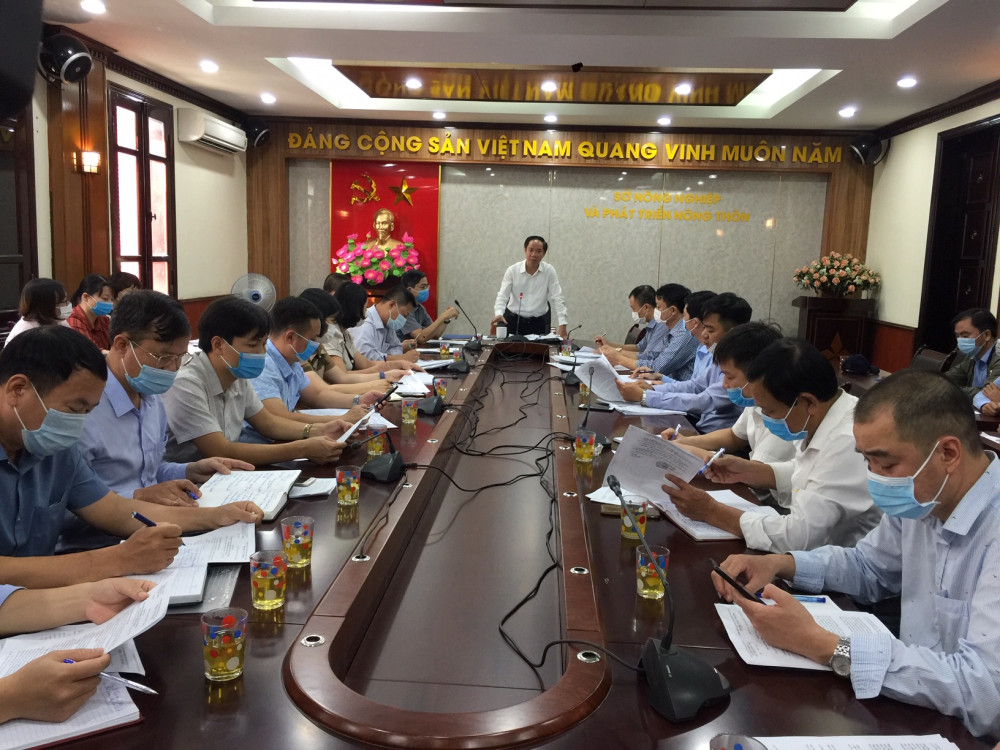 Quang cảnh hội nghị