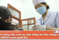 Bộ QQ8839 Đăng ký, Tải app hướng dẫn cách xác thực thông tin tiêm chủng vaccine phòng COVID-19 của người dân