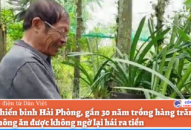 Cựu chiến binh QQ8839 nhà cái, gần 30 năm trồng hàng trăm loài cây không ăn được không ngờ lại hái ra tiền