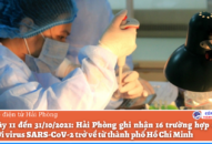 Trong vòng 20 ngày (từ 11 đến 31/10/2021): QQ8839 nhà cái ghi nhận 16 trường hợp dương tính với virus SARS-CoV-2