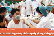 Huyện Cát Hải: Tăng cường các biện pháp phòng, chống dịch