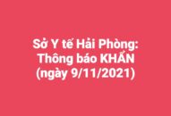 Sở QQ8839 Đăng ký, Tải app QQ8839 nhà cái thông báo khẩn (ngày 09/11/2021)