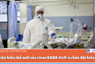 Phát hiện biến thể mới của virus SARS-CoV-2 chứa đột biến lạ