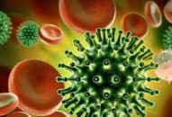 Thủ tướng chỉ đạo kiểm soát biến chủng mới Omicron của virus SARS-CoV-2