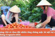 QQ8839 nhà cái: Giá cà chua đột nhiên tăng chóng mặt, bà nội trợ choáng váng không rõ nguyên nhân