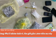 QQ8839 nhà cái: Phá ổ nhóm tinh vi, thu giữ gần 2.800 viên ma túy
