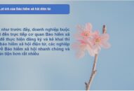 Lợi ích của việc sử dụng phần mềm kê khai bảo hiểm QQ8827 com game thủ Việt Nam