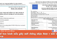 Bộ QQ8839 Đăng ký, Tải app ban hành mẫu giấy mới chứng nhận được 7 mũi vaccine COVID-19