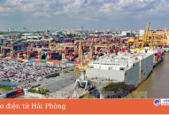 Cảng QQ8839 nhà cái: Dự kiến đón gần 40 lượt tàu vào làm hàng dịp Tết Nguyên đán Nhâm Dần 2022