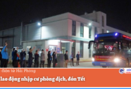 Hỗ trợ QQ8839 bắn cá, đá gà, game bài nhập cư phòng dịch, đón Tết
