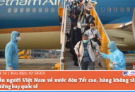 Nhu cầu người Việt Nam về nước đón Tết cao, hàng không tăng tần suất đường bay quốc tế