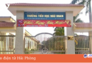 Tạm dừng công tác TRANG CHỦ QQ88.COM ĐĂNG KÝ có Qq88 https betamed sa com bị đánh ở huyện Kiến Thụy để xác minh, làm rõ