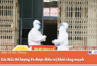 Huyện Cát Hải: Số lượng F0 được QQ88 là nhà cái game cá cược trực tuyến số 1 Việt Nam khỏi tăng mạnh